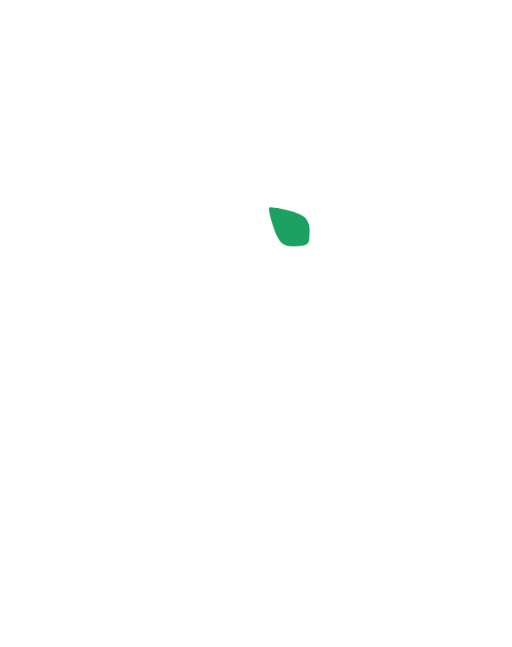 Botanic Lab - професионално проектиране, изграждане и поддръжка на интериорно и екстериорно озеленяване